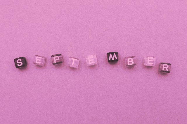 September made by small plastic cubes