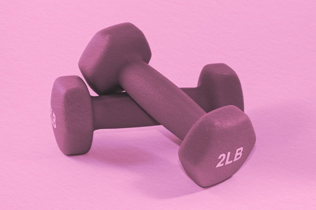 Set of 2 pound dumbbell weights