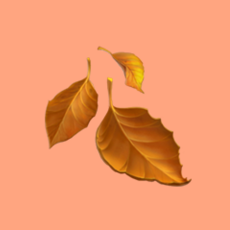 Fallen leaf emoji