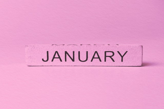 Wooden block object with January written