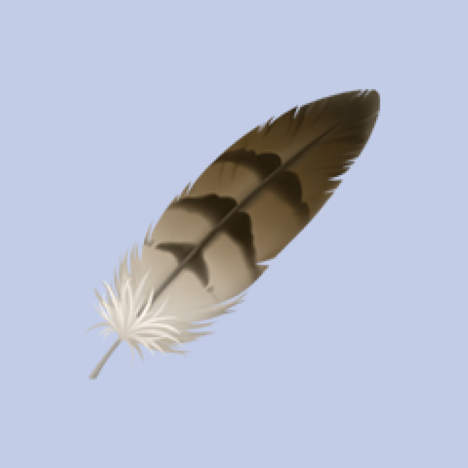 Feather emoji