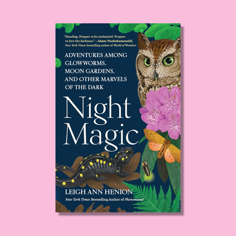 Night Magic by Leigh Ann Henion