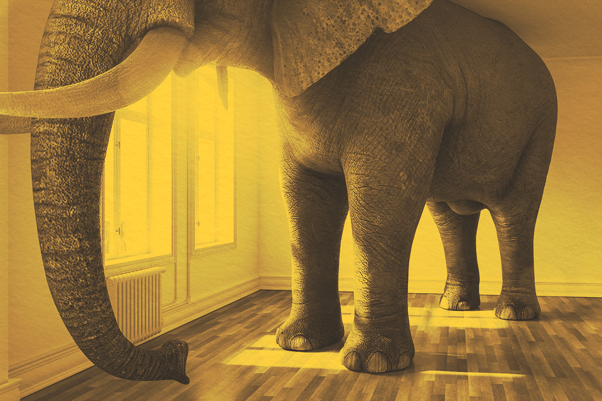 Why Do We Call It “the Elephant in the Room”?