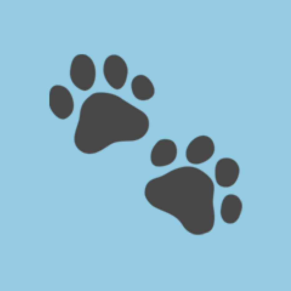 Paw prints emoji