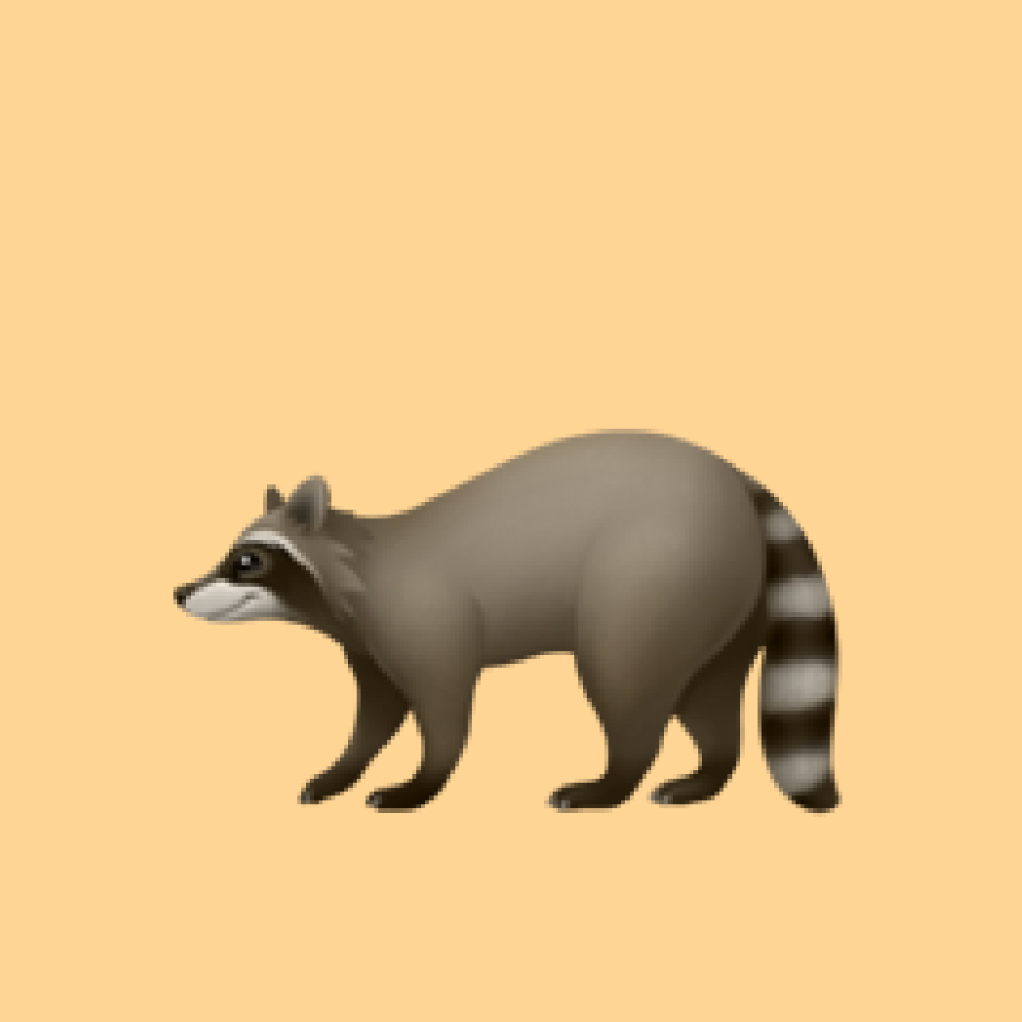 Raccoon emoji