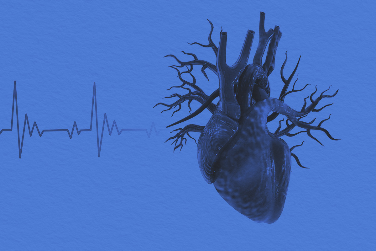 Human heart with ecg graph