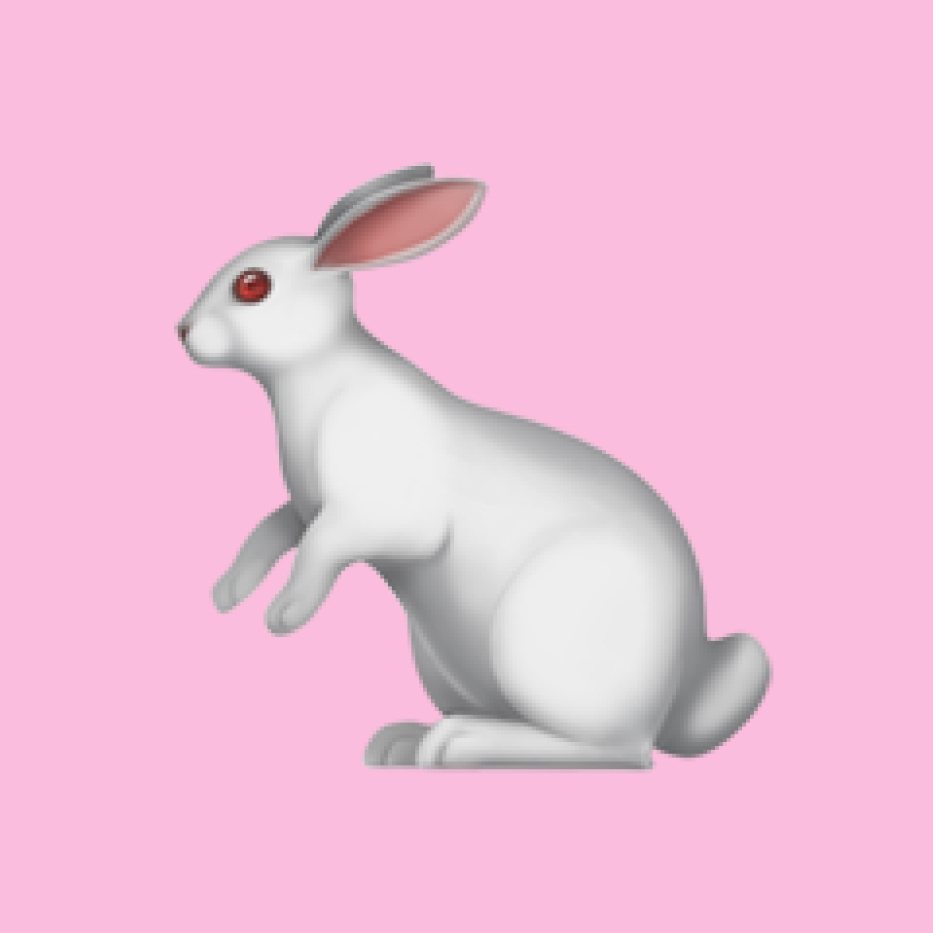 Rabbit emoji