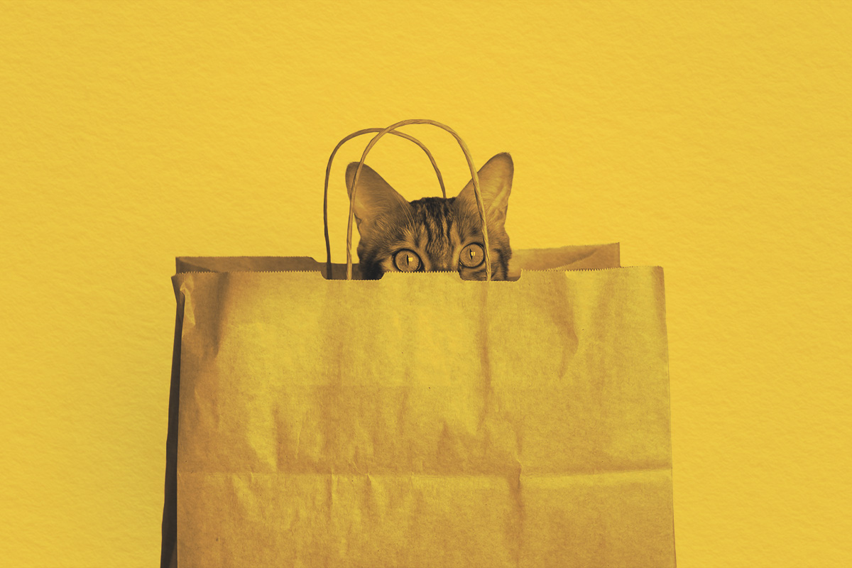 Why Do We “Let a Cat Out of the Bag”?