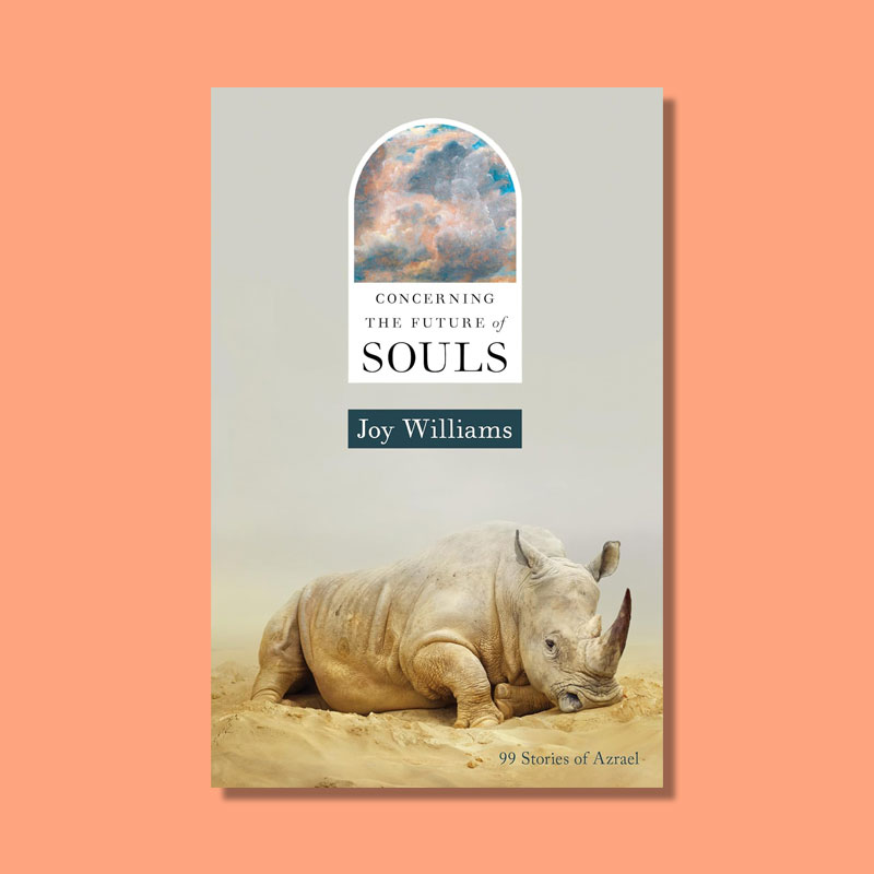 Concerning the Future of Souls by Joy Williams