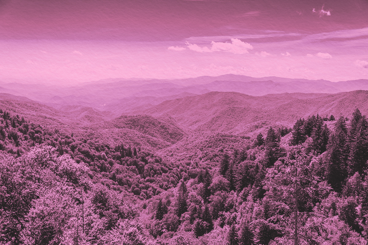 “A Prettyful Way of Speakin’” — All About Appalachian English