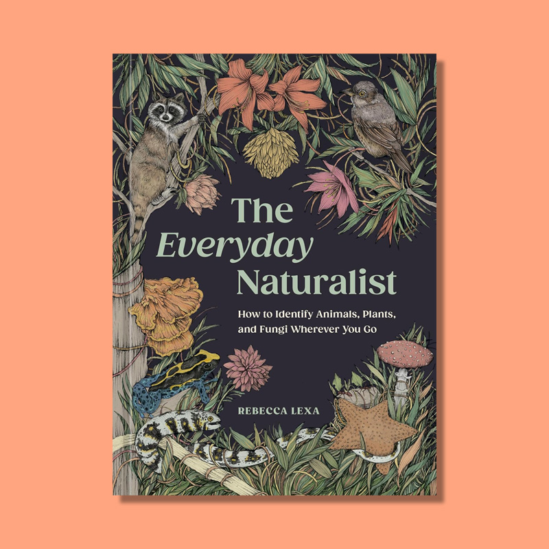 The Everyday Naturalist by Rebecca Lexa