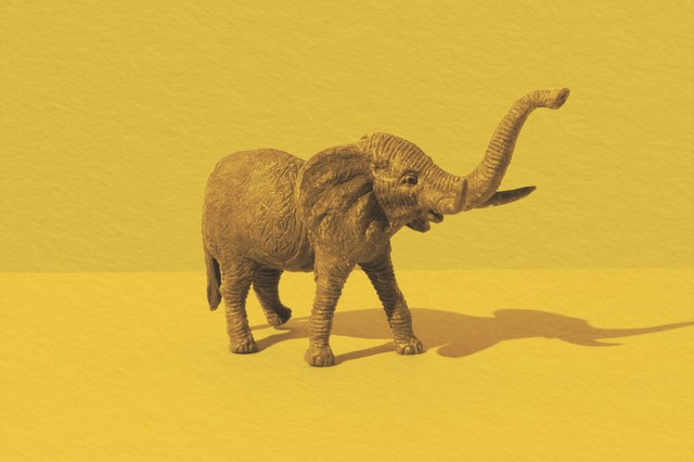 Isolated elephant toy