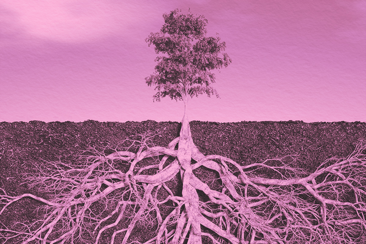 Surprising Words That Come From the Same Ancient Root