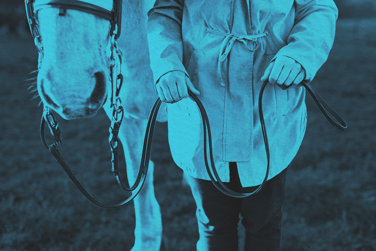 Why Do We Say ‘Free Rein’?