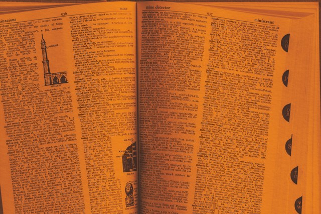 Open dictionary on random page
