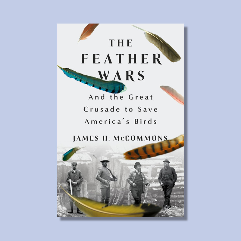 The Feather Wars by James H. McCommons