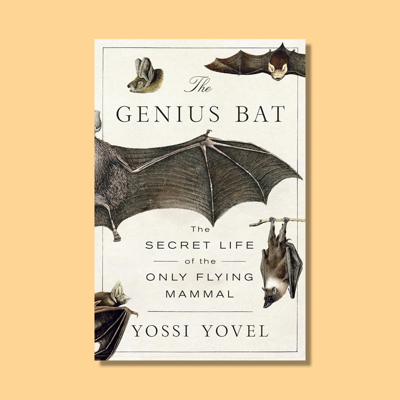 The Genius Bat: The Secret Life of the Only Flying Mammal by Yossi Yovel